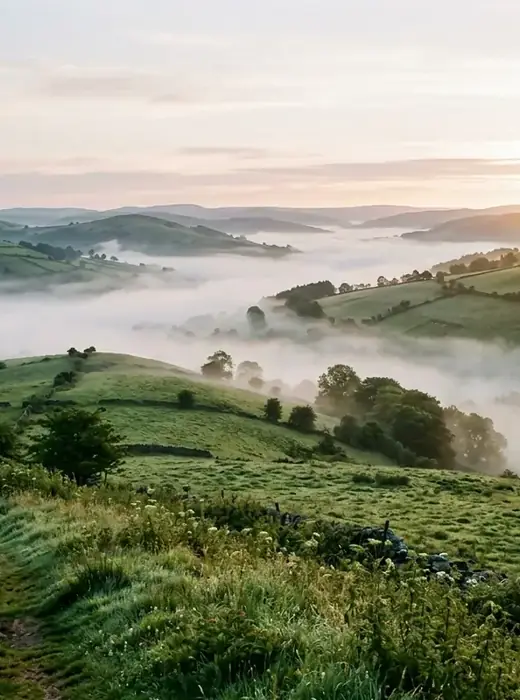 Green hills under low morning mist